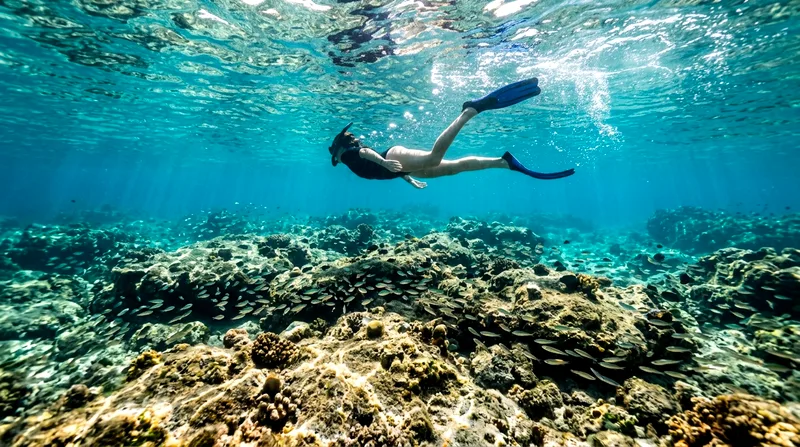Amalfi Coast Snorkelling Tour Guide: What to Book & Why